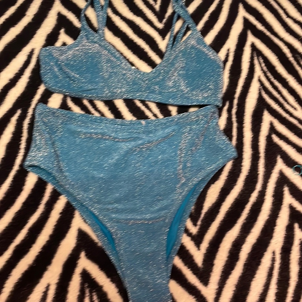 high waisted glitter bikini